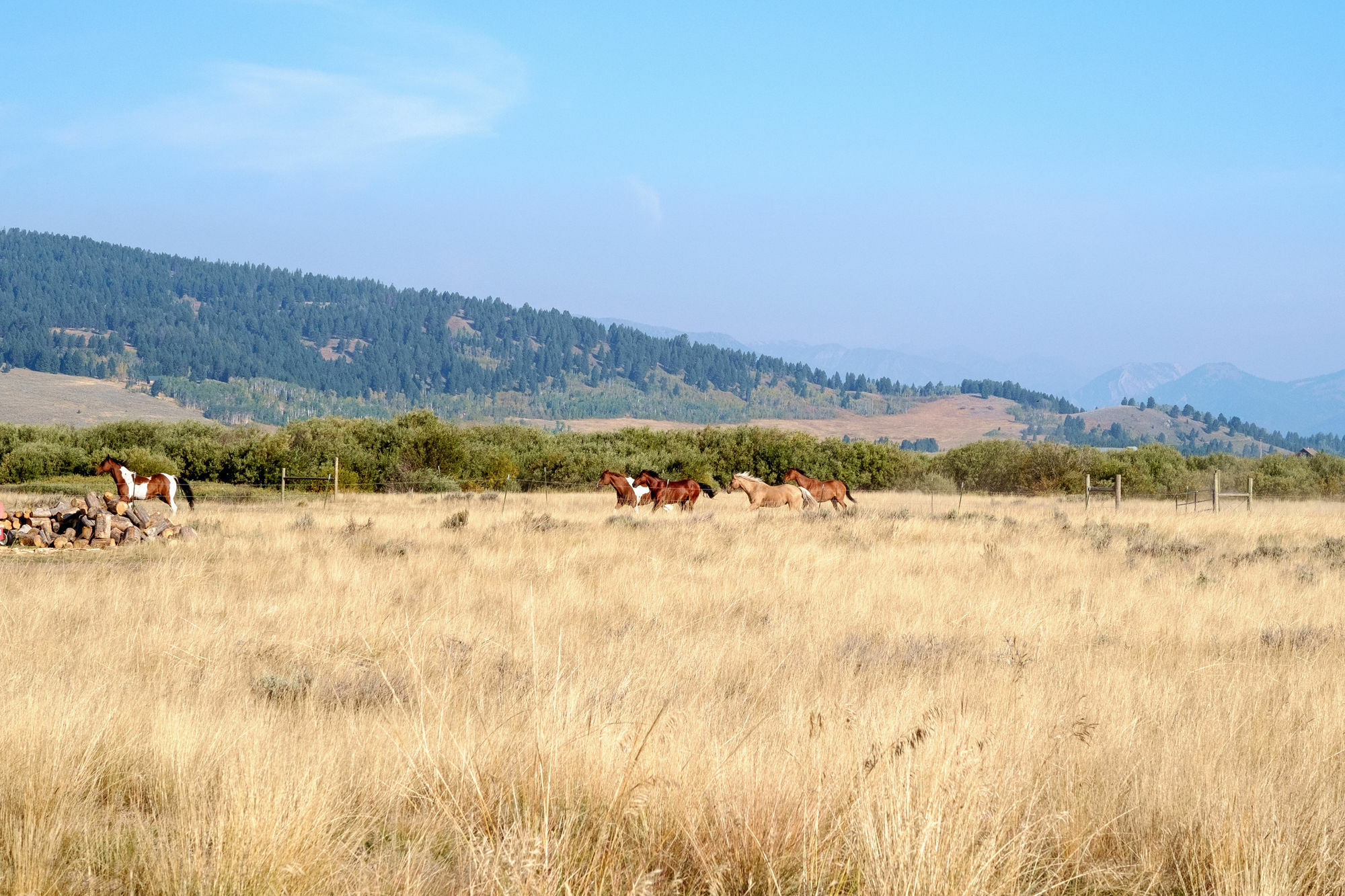 Bar N Ranch Lodge